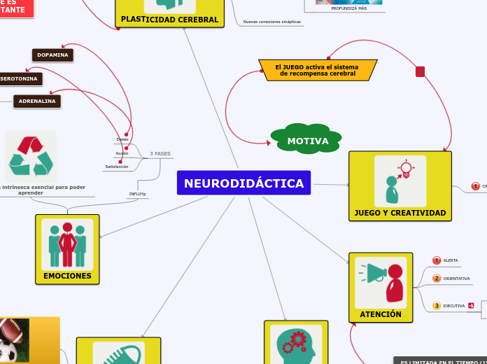 NEURODIDÁCTICA