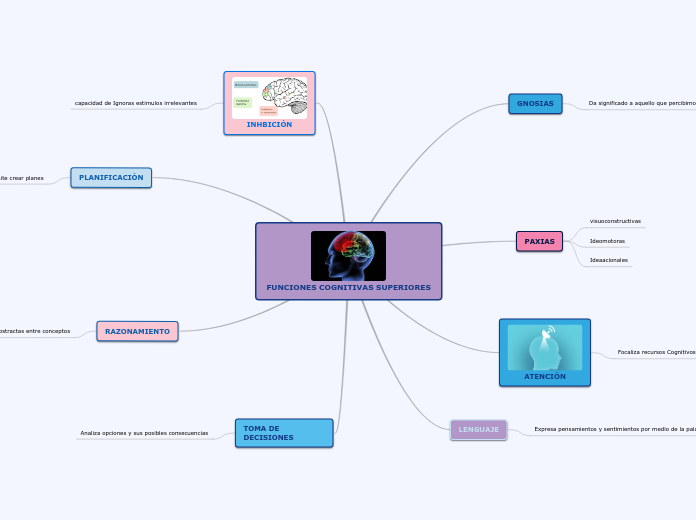 FUNCIONES COGNITIVAS SUPERIORES