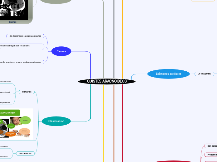QUISTES ARACNOIDEOS