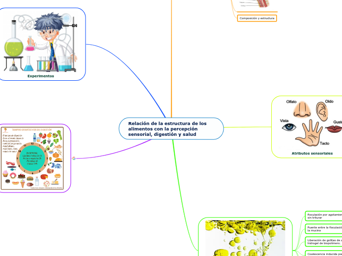 Relación de la estructura de los alimentos con la percepción sensorial, digestión y salud