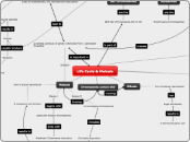 Bio 311D Concept Map