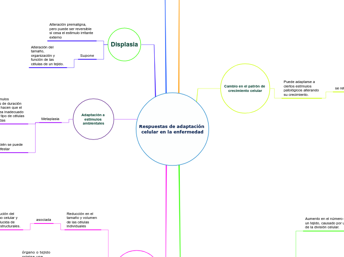 Respuestas de adaptación celular en la enfermedad