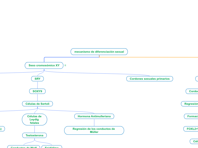 mecanismo de diferenciación sexual