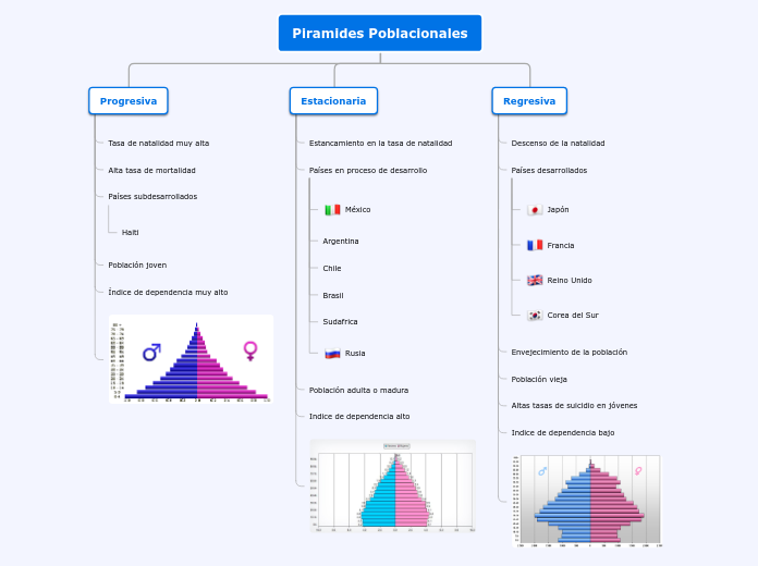 Piramides Poblacionales