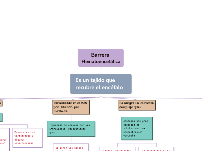 Barrera Hematoencefálica - Copiar