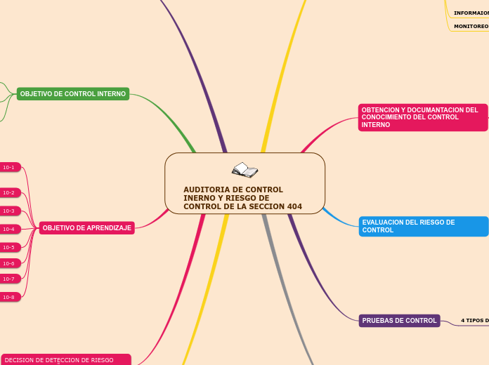 AUDITORIA DE CONTROL INERNO Y RIESGO DE CONTROL DE LA SECCION 404
