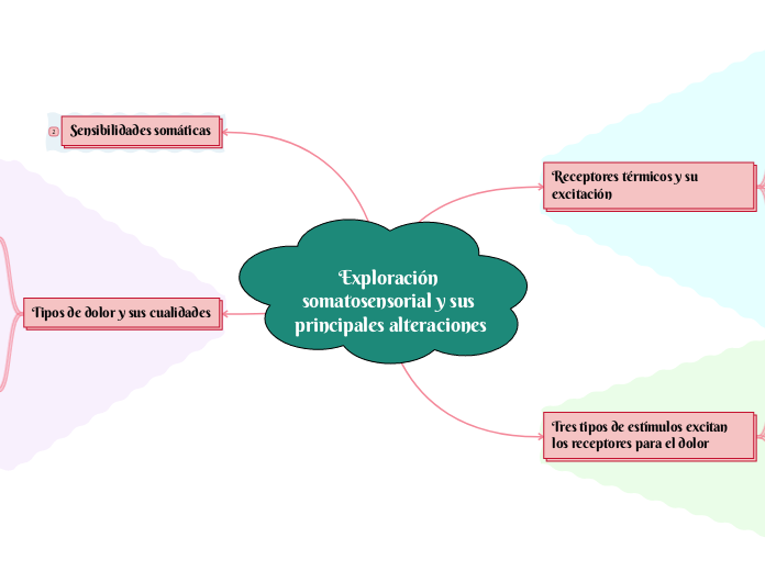 Exploración somatosensorial y sus principales alteraciones