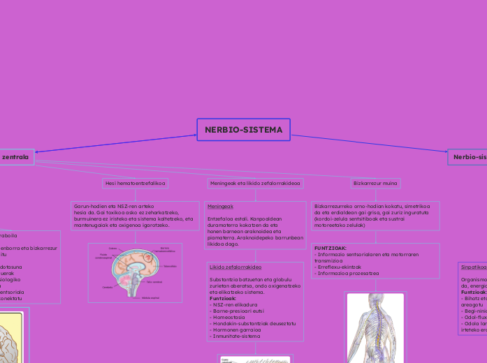 NERBIO-SISTEMA