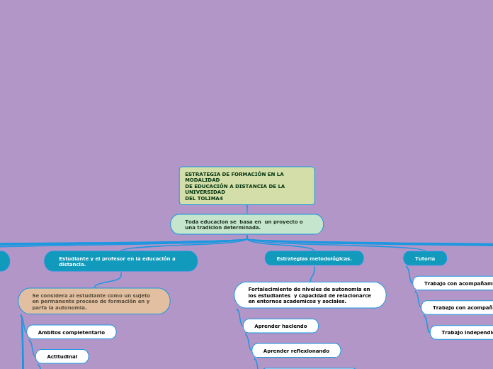 ESTRATEGIA DE FORMACIÓN EN LA MODALIDAD
DE EDUCACIÓN A DISTANCIA DE LA UNIVERSIDAD
DEL TOLIMA4