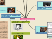 Sample Mind Map