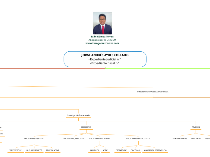 JORGE ANDRÉS AYRES COLLADO
- Expediente judicial n.° 
- Expediente fiscal n.° 