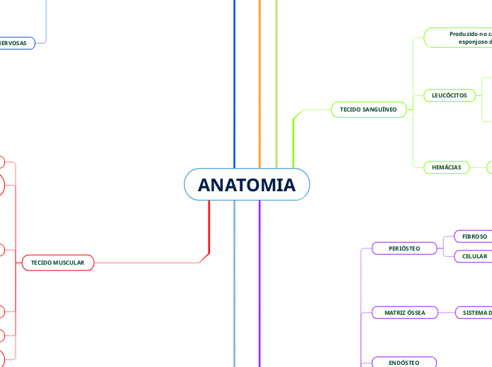 ANATOMIA