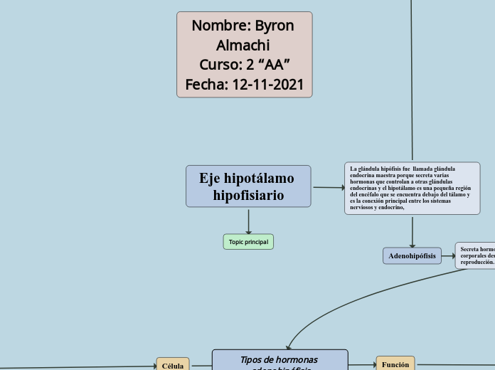 Eje hipotálamo hipofisiario