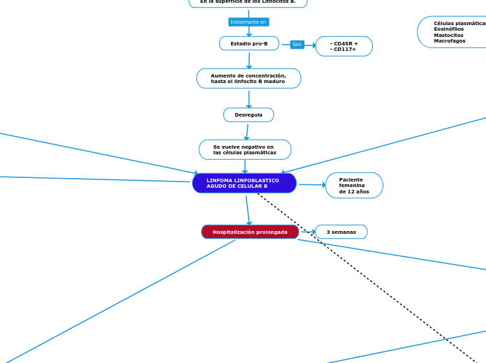 LINFOMA LINFOBLASTICO AGUDO DE CELULAR B