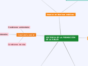 Sample Mind Map