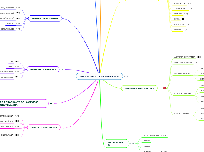 ANATOMIA TOPOGRÀFICA