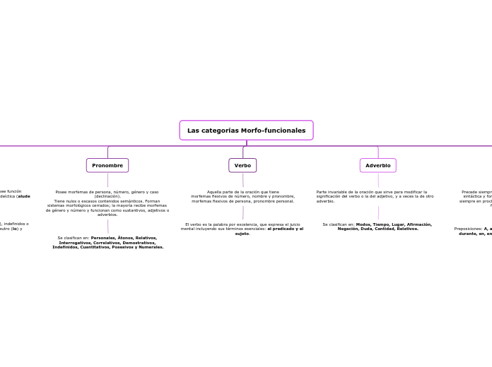 Las categorías Morfo-funcionales