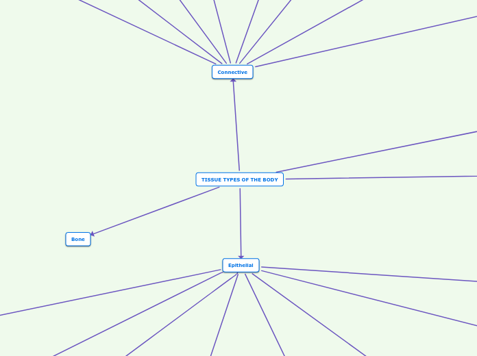 TISSUE TYPES OF THE BODY