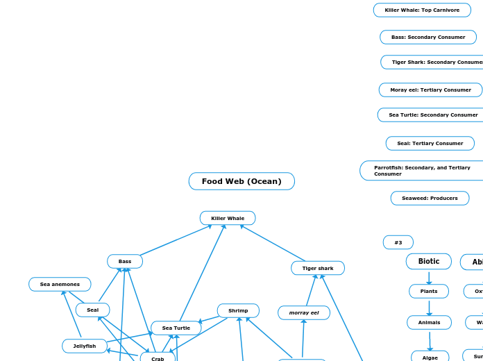 Food Web (Ocean)