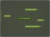 CICLO DE APRENDIZAJE