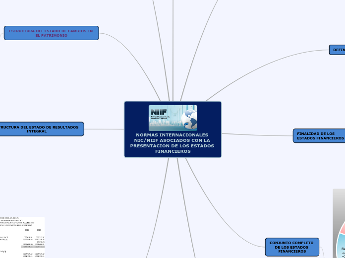 NORMAS INTERNACIONALES DE LA INFORMACION FINANCIERA NIIF