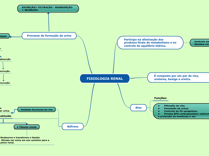 FISIOLOGIA RENAL