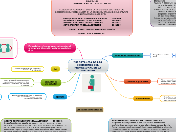 IMPORTANCIA DE LAS DECISIONES DEL PROFESIONAL EN LA SOCIEDAD