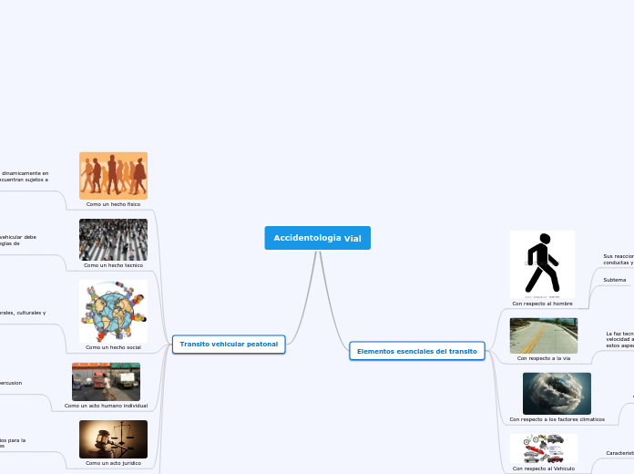 Accidentologia Vial