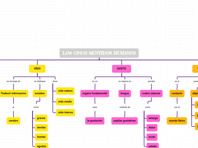 LOS CINCO SENTIDOS HUMANOS