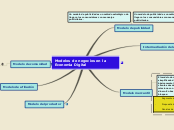 Sample Mind Map