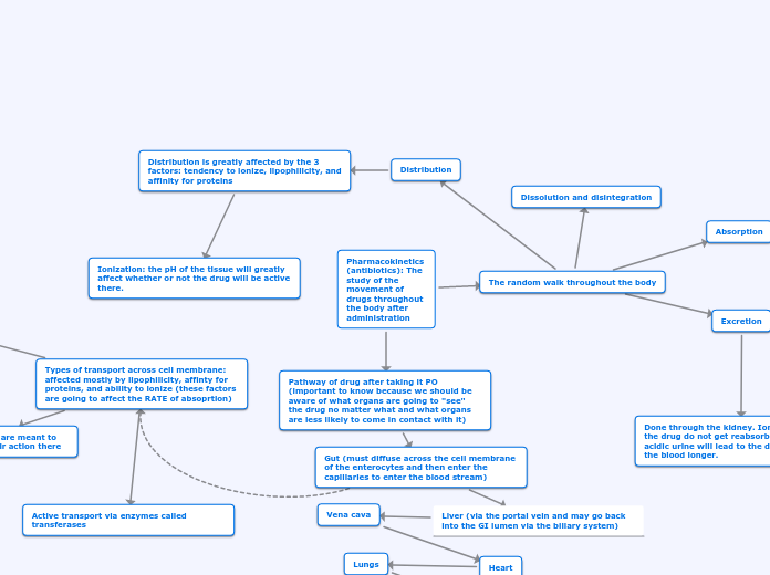 Pharmacokinetics (cont.)