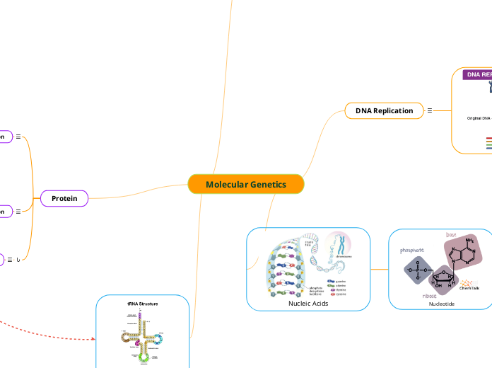 Molecular Genetics