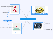 Element Properties