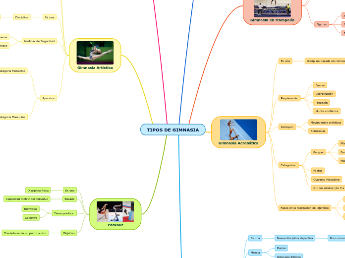 TIPOS DE GIMNASIA