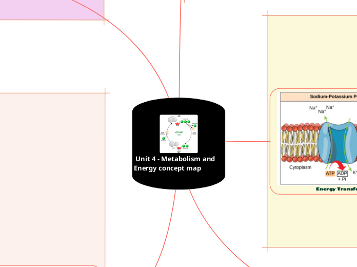  Unit 4 - Metabolism and Energy concept map 