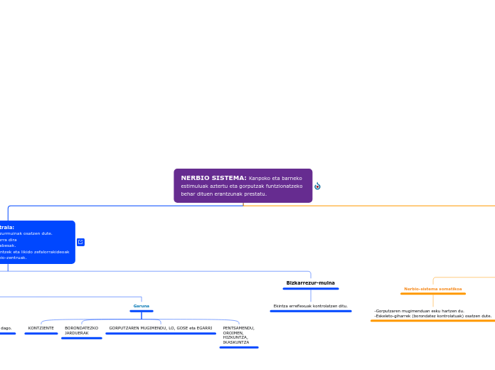 NERBIO SISTEMA: Kanpoko eta barneko estimuluak aztertu eta gorputzak funtzionatzeko behar dituen erantzunak prestatu.