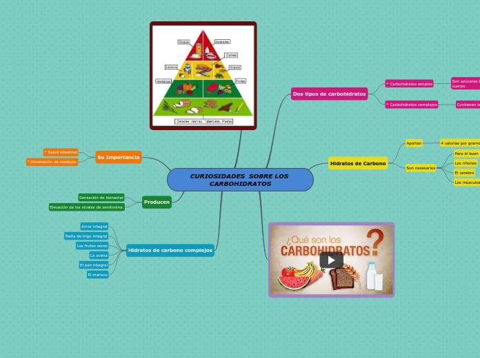 CURIOSIDADES  SOBRE LOS CARBOHIDRATOS