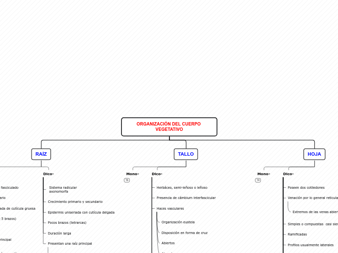 ORGANIZACIÓN DEL CUERPO VEGETATIVO