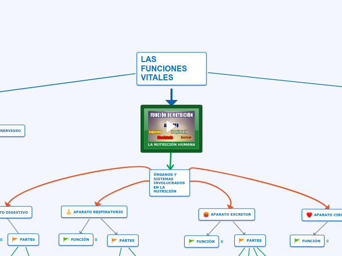 LA NUTRICIÓN HUMANA