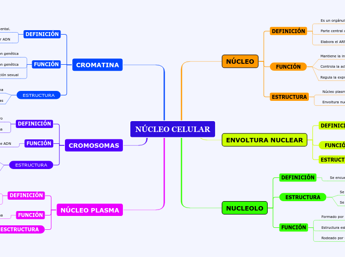 NÚCLEO CELULAR