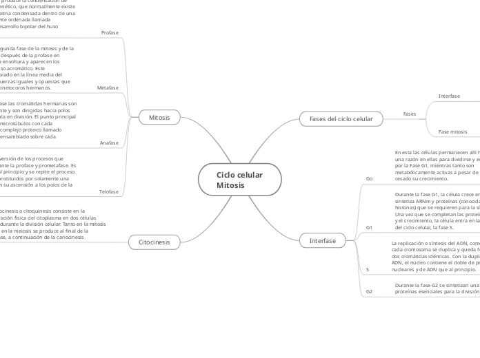 Ciclo celularMitosis