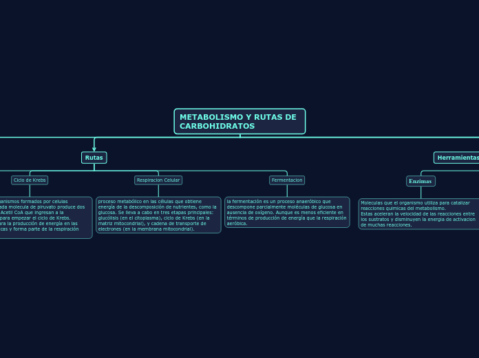 METABOLISMO Y RUTAS DE CARBOHIDRATOS