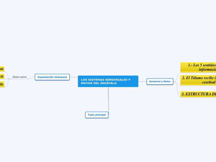 LOS SISTEMAS SENSORIALES Y      MOTOR DEL ENCÉFALO