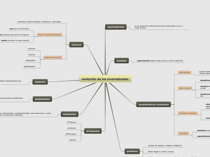 evolución de los invertebrados