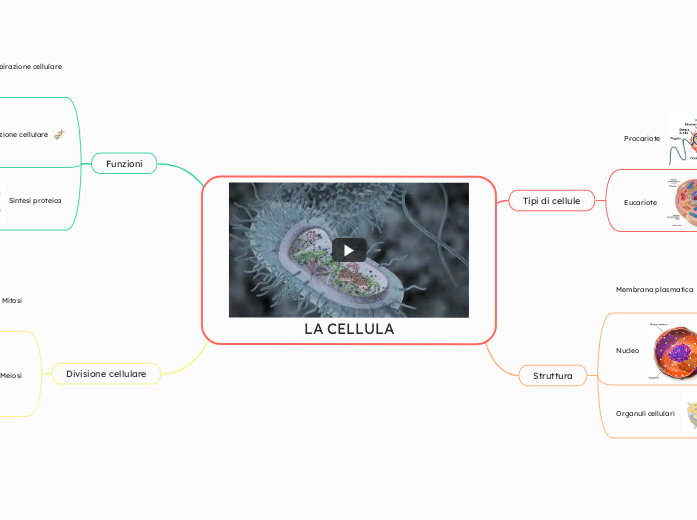 LA CELLULA