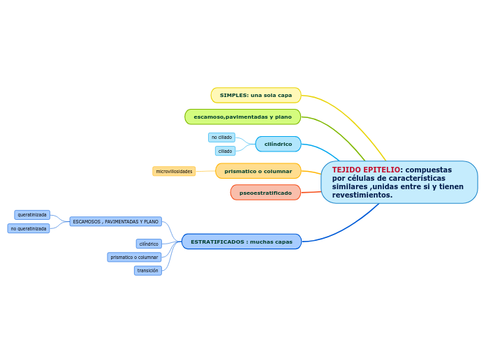 TEJIDO EPITELIO: compuestas por células de características similares ,unidas entre si y tienen revestimientos.
