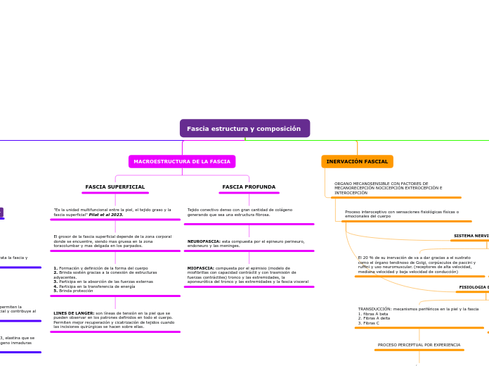 Fascia estructura y composición 