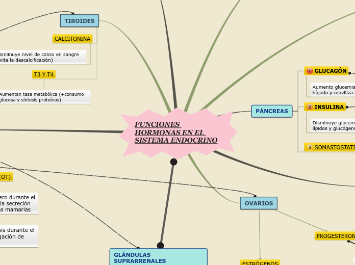 Sample Mind Map