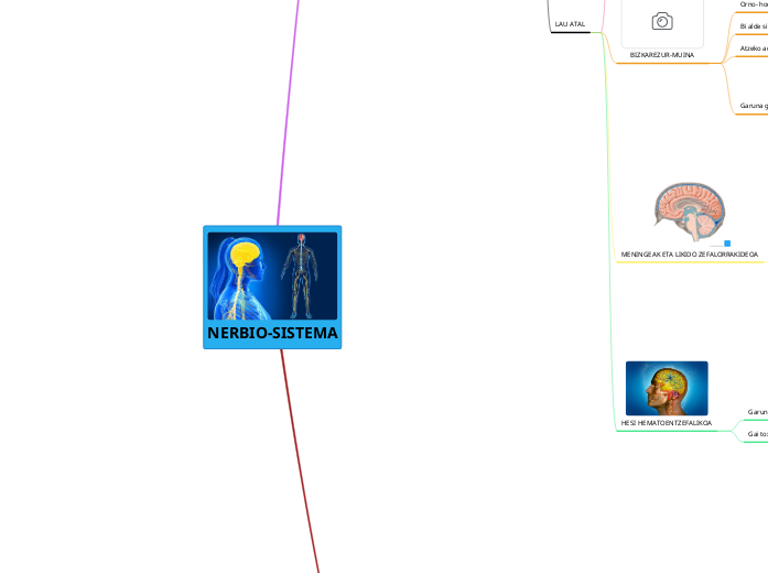 NERBIO-SISTEMA