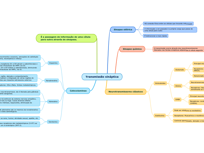 Transmissão sináptica